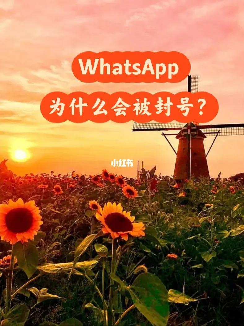 whatsapp怎么视频通话-WhatsApp 视频通话：简单便捷，让你与远方亲友亲密无间