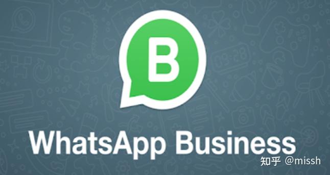 whatsapp是那个公司_公司是什么意思_公司是我家