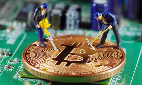 比特币稳,市场动态与未来展望