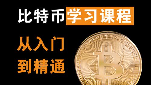 比特币新手群,群内精华解析与实战指南