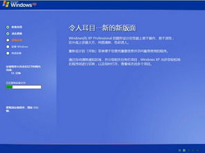 windows xp安装系统,从准备到完成的一站式教程