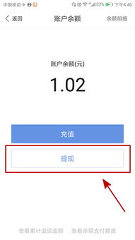 usdt提到钱包不显示,钱包内USDT余额为何不显示？