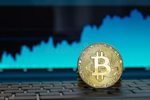 手里比特币,解码数字货币背后的财富密码